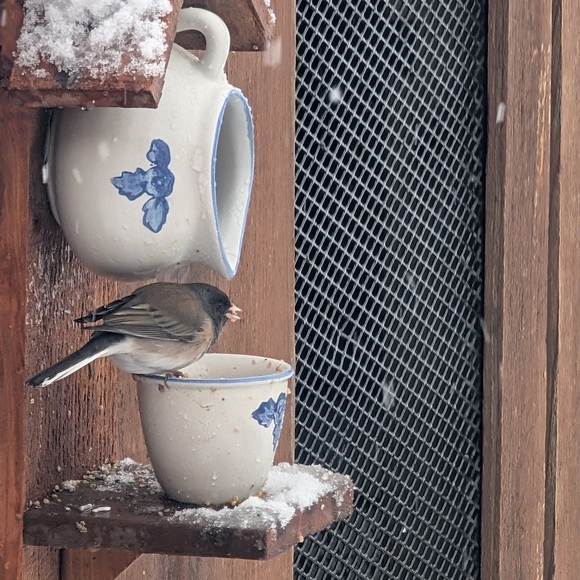 Rustic Wooden Bird Feeder Handmade Panda - Picture 7 of 13